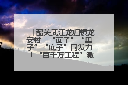 韶关武江龙归镇龙安村：“面子”“里子”“底子”同发力！“百千万工程”激活乡村新动能