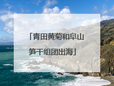 青田黄菊和阜山笋干组团出海