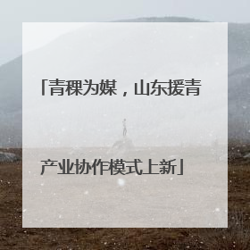 青稞为媒，山东援青产业协作模式上新