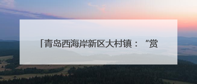 青岛西海岸新区大村镇：“赏花经济”绘就乡村振兴新图景