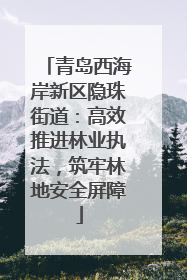 青岛西海岸新区隐珠街道：高效推进林业执法，筑牢林地安全屏障