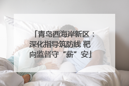 青岛西海岸新区：深化指导筑防线 靶向监督守“薪”安