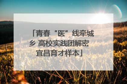 青春“医”线牵城乡 高校实践团解密宜昌育才样本