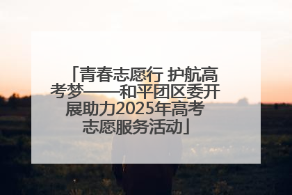 青春志愿行 护航高考梦——和平团区委开展助力2025年高考志愿服务活动