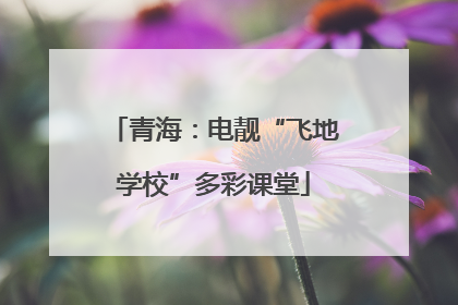 青海：电靓“飞地学校”多彩课堂