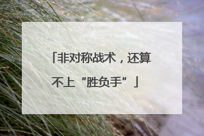 非对称战术，还算不上“胜负手”