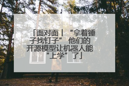 面对面丨“拿着锤子找钉子” 他们的开源模型让机器人能“上学”了