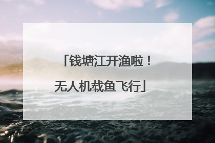 钱塘江开渔啦！无人机载鱼飞行