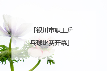 银川市职工乒乓球比赛开幕