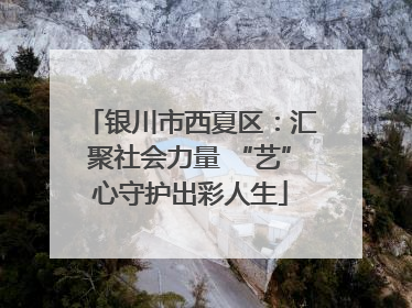 银川市西夏区：汇聚社会力量 “艺”心守护出彩人生