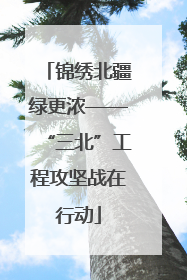 锦绣北疆绿更浓——“三北”工程攻坚战在行动