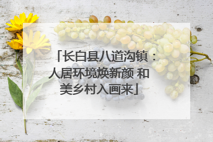 长白县八道沟镇：人居环境焕新颜 和美乡村入画来