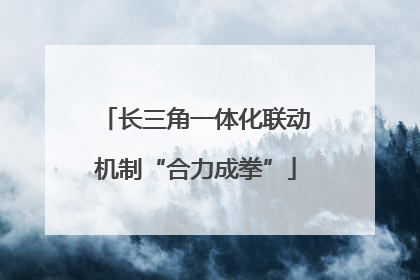 长三角一体化联动机制“合力成拳”