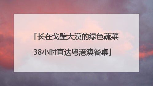 长在戈壁大漠的绿色蔬菜38小时直达粤港澳餐桌