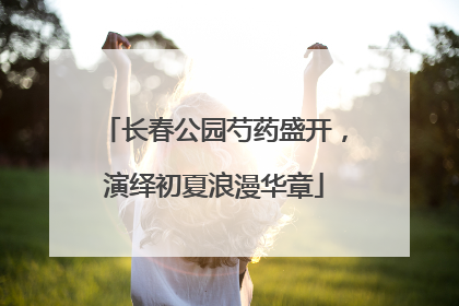 长春公园芍药盛开，演绎初夏浪漫华章