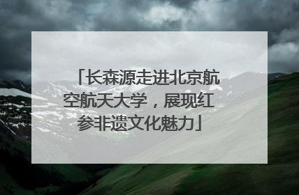 长森源走进北京航空航天大学，展现红参非遗文化魅力