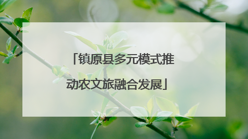 镇原县多元模式推动农文旅融合发展