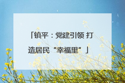 镇平：党建引领 打造居民“幸福里”