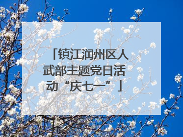 镇江润州区人武部主题党日活动“庆七一”