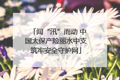 闻“汛”而动 中国太保产险丽水中支筑牢安全守护网