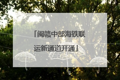 闽赣中部海铁联运新通道开通