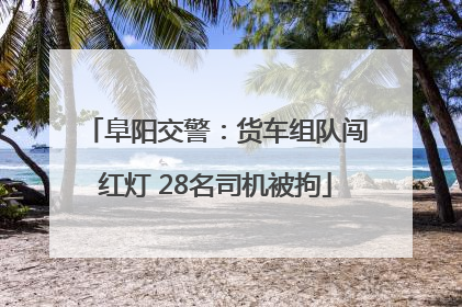 阜阳交警：货车组队闯红灯 28名司机被拘
