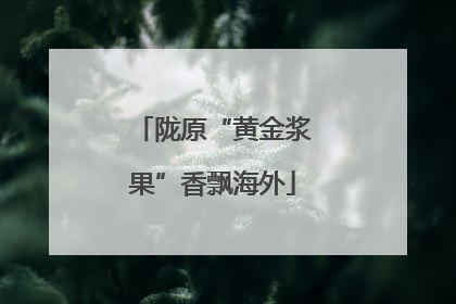 陇原“黄金浆果”香飘海外