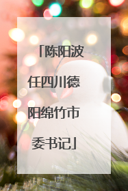陈阳波任四川德阳绵竹市委书记