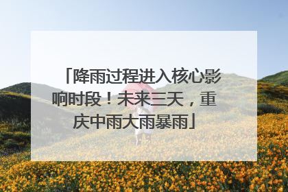 降雨过程进入核心影响时段！未来三天，重庆中雨大雨暴雨