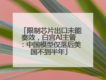 限制芯片出口未能奏效，白宫AI主管：中国模型仅落后美国不到半年
