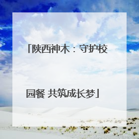 陕西神木：守护校园餐 共筑成长梦