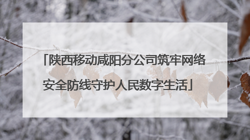 陕西移动咸阳分公司筑牢网络安全防线守护人民数字生活