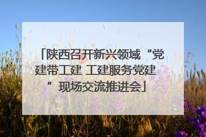 陕西召开新兴领域“党建带工建 工建服务党建”现场交流推进会