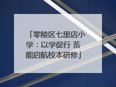 零陵区七里店小学：以学促行 蓄能启航校本研修