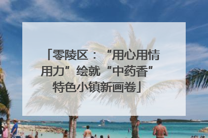 零陵区：“用心用情用力”绘就“中药香”特色小镇新画卷