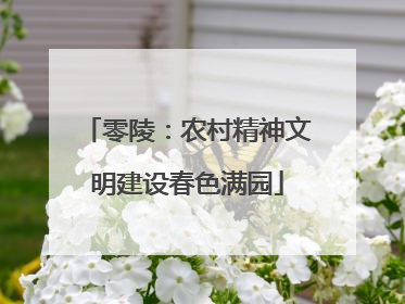 零陵：农村精神文明建设春色满园