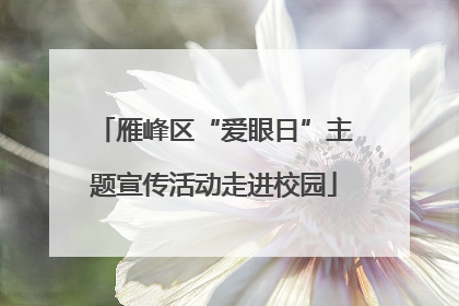 雁峰区“爱眼日”主题宣传活动走进校园