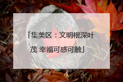 集美区：文明根深叶茂 幸福可感可触