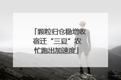 颗粒归仓稳增收 宿迁“三夏”农忙跑出加速度