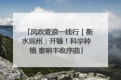 风吹麦浪一线行｜衡水冀州：开镰！科学种植 奏响丰收序曲