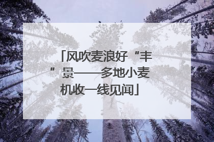 风吹麦浪好“丰”景——多地小麦机收一线见闻