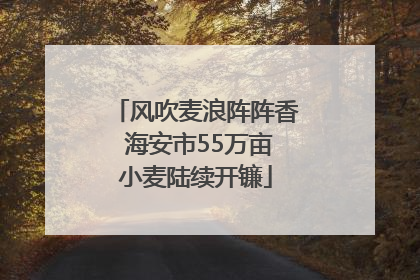 风吹麦浪阵阵香 海安市55万亩小麦陆续开镰