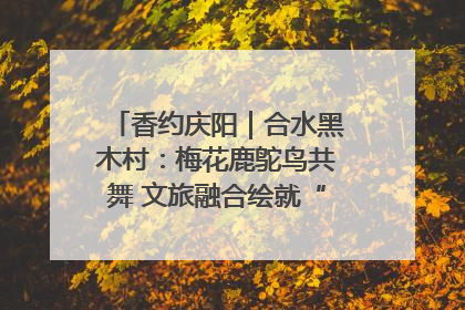 香约庆阳｜合水黑木村：梅花鹿鸵鸟共舞 文旅融合绘就“诗与远方”