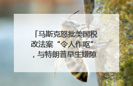 马斯克怒批美国税改法案“令人作呕”，与特朗普早生嫌隙？｜国际识局