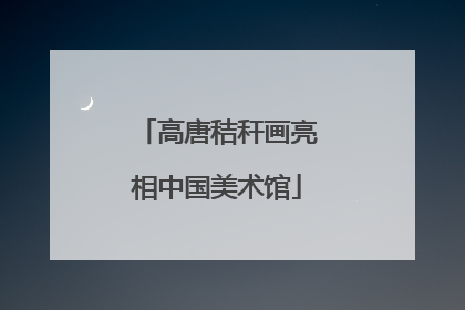 高唐秸秆画亮相中国美术馆