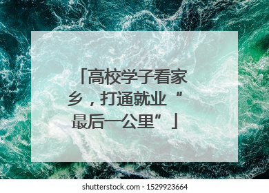 高校学子看家乡，打通就业“最后一公里”