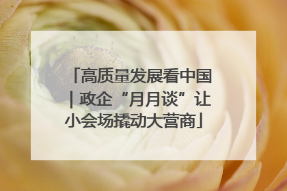 高质量发展看中国｜政企“月月谈”让小会场撬动大营商