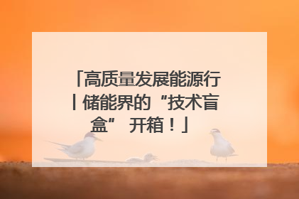 高质量发展能源行丨储能界的“技术盲盒” 开箱！
