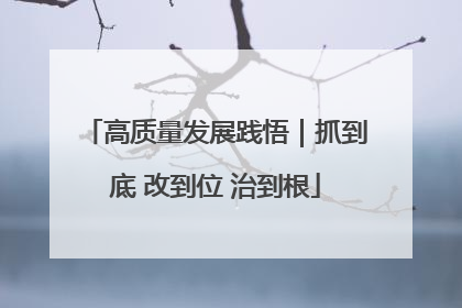 高质量发展践悟｜抓到底 改到位 治到根