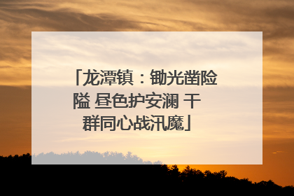 龙潭镇：锄光凿险隘 昼色护安澜 干群同心战汛魔
